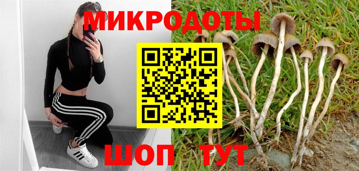 Касимов  Псилоцибиновые грибы мухоморы  хочу наркоту  Вход с VPN 